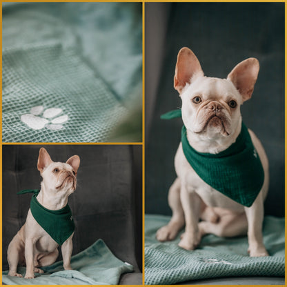 Hundedecke